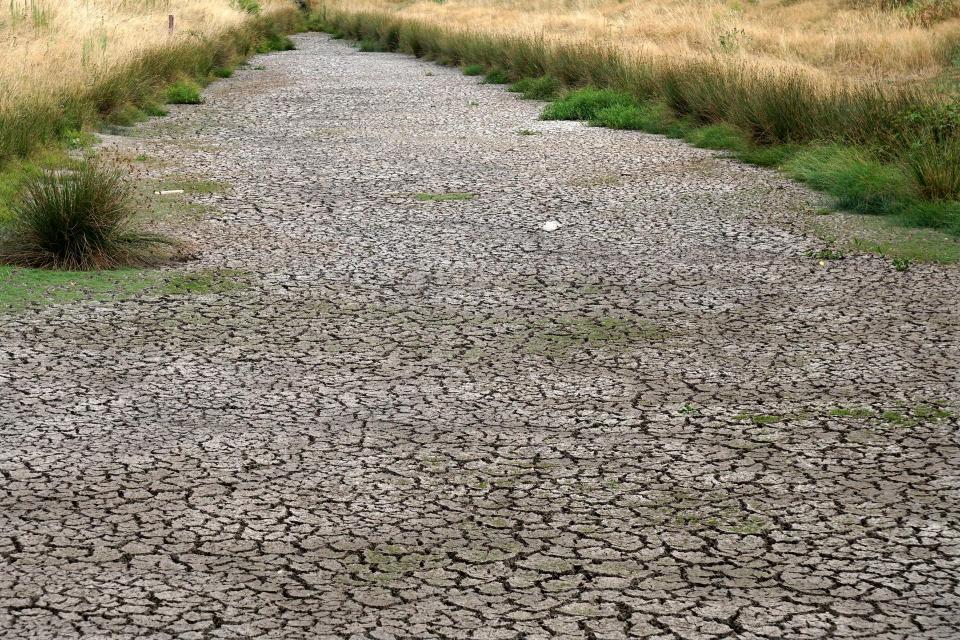 Uitgedroogde, deels opengescheurde bodem van een wateropvang in het midden met aan beide kanten uitgedroogd gras.