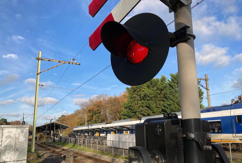 Rood stoplicht bij een spoorwegovergang met daarachter een rijdende trein.  