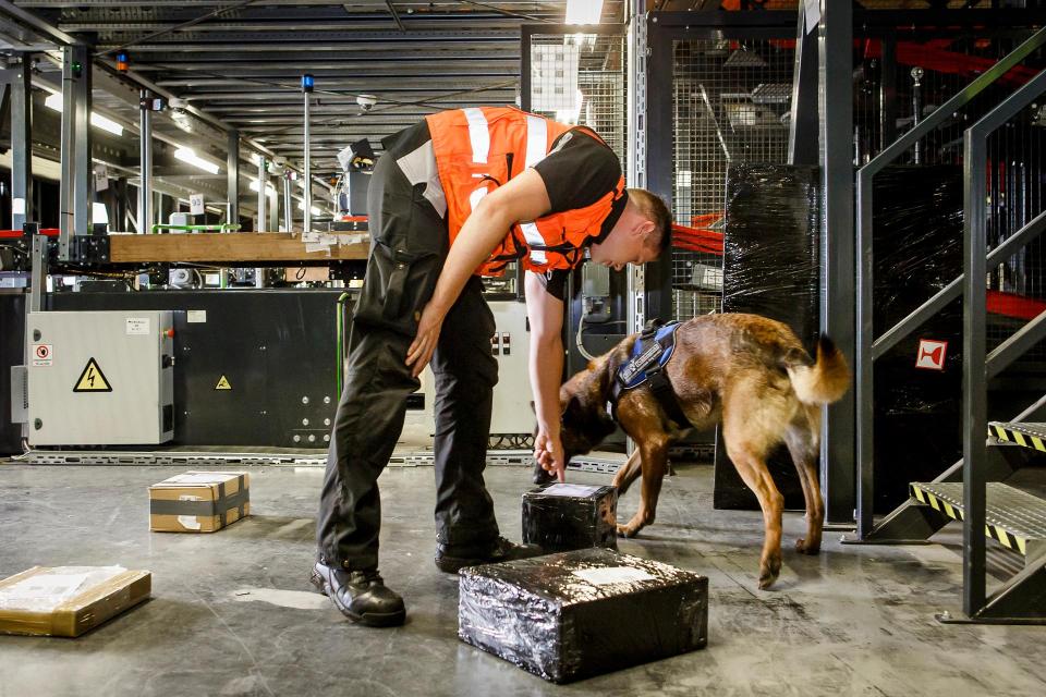 Een speurhond zoekt naar explosieven in pakketjes met zijn begeleider